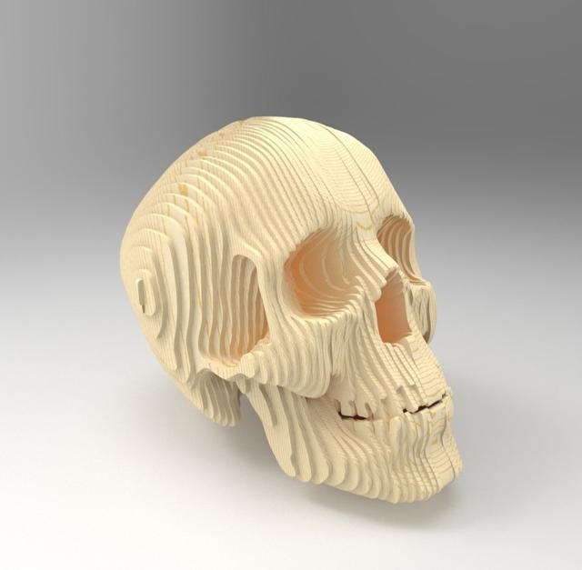 Макет 3D макет деревянного черепа для лазерной резки — изображение 2