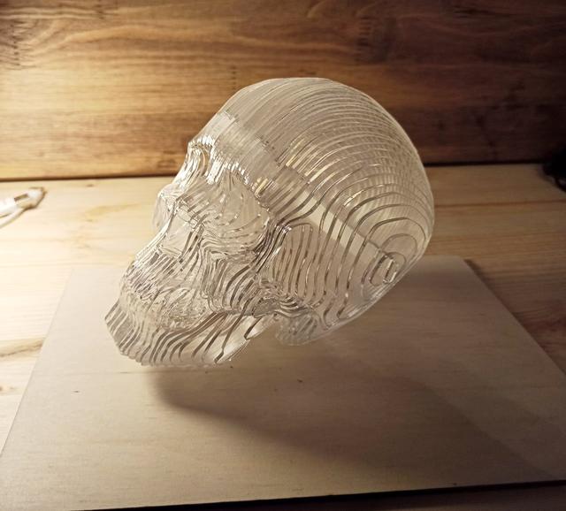 Макет 3D-модель черепа из акрила для лазерной резки — изображение 2
